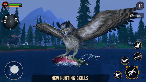 Wild Owl : Bird Simulator Game
