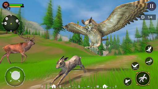 Wild Owl : Bird Simulator Game